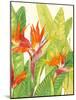 Watercolor Tropical Flowers IV-Tim OToole-Mounted Art Print