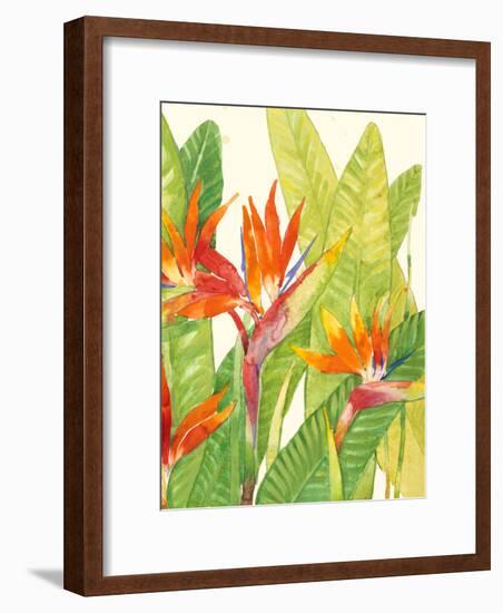 Watercolor Tropical Flowers IV-Tim OToole-Framed Art Print