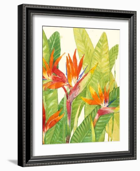 Watercolor Tropical Flowers IV-Tim OToole-Framed Art Print