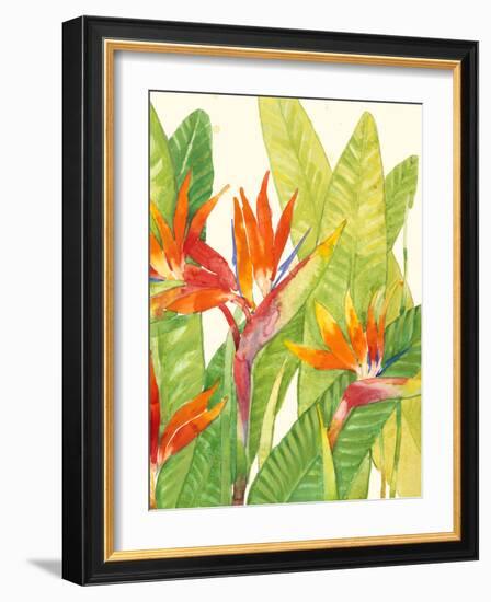 Watercolor Tropical Flowers IV-Tim OToole-Framed Art Print