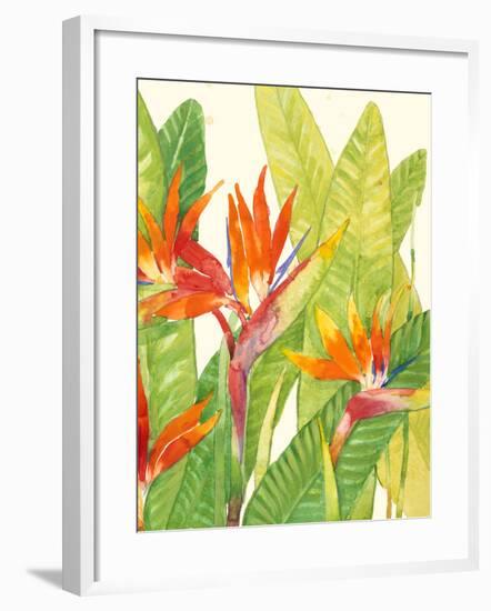 Watercolor Tropical Flowers IV-Tim OToole-Framed Art Print