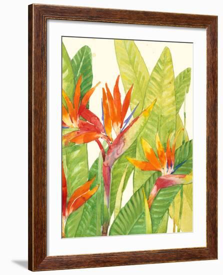 Watercolor Tropical Flowers IV-Tim OToole-Framed Art Print