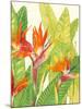 Watercolor Tropical Flowers IV-Tim OToole-Mounted Premium Giclee Print