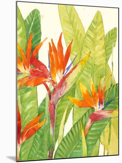 Watercolor Tropical Flowers IV-Tim OToole-Mounted Premium Giclee Print