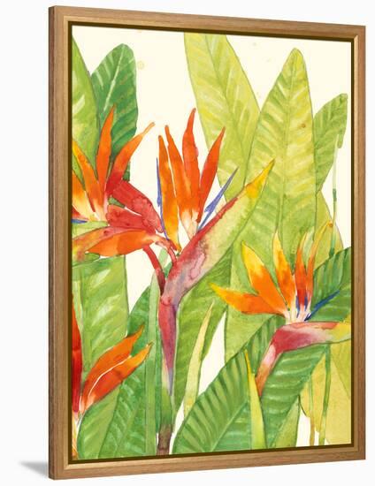 Watercolor Tropical Flowers IV-Tim OToole-Framed Stretched Canvas