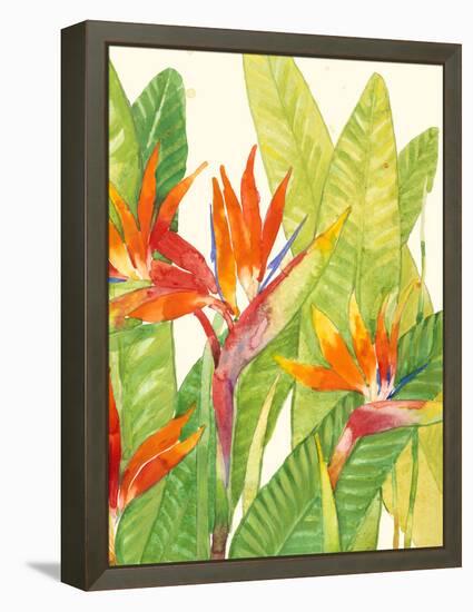 Watercolor Tropical Flowers IV-Tim OToole-Framed Stretched Canvas