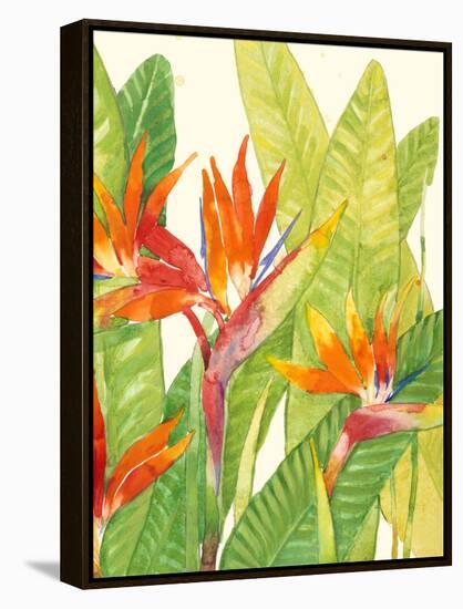 Watercolor Tropical Flowers IV-Tim OToole-Framed Stretched Canvas