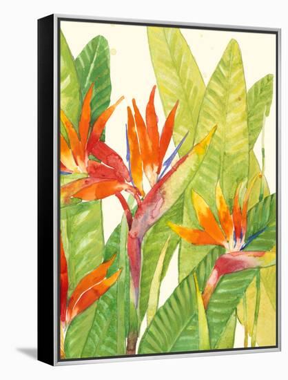 Watercolor Tropical Flowers IV-Tim OToole-Framed Stretched Canvas