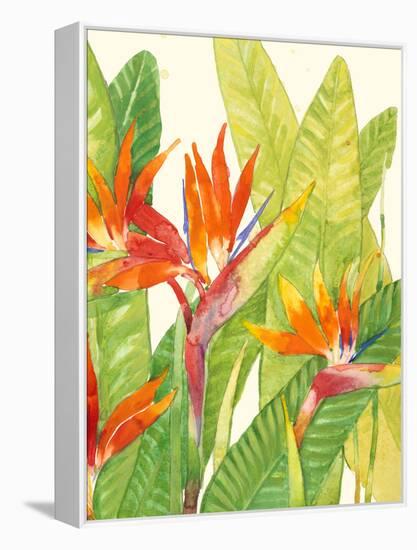 Watercolor Tropical Flowers IV-Tim OToole-Framed Stretched Canvas