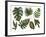 Watercolor Tropical Leaf Set-tanycya-Framed Art Print