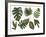 Watercolor Tropical Leaf Set-tanycya-Framed Art Print