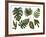 Watercolor Tropical Leaf Set-tanycya-Framed Art Print