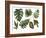 Watercolor Tropical Leaf Set-tanycya-Framed Art Print