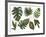 Watercolor Tropical Leaf Set-tanycya-Framed Art Print