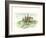 Watercolor Tuscan Villa II-Ethan Harper-Framed Art Print