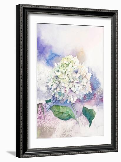 Watercolor White Hydrangea-Eisfrei-Framed Art Print