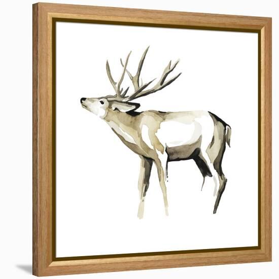 Watercolor Woodland I-Grace Popp-Framed Stretched Canvas