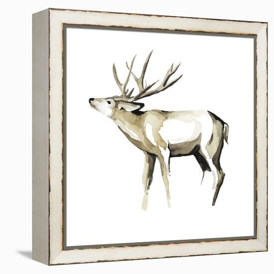 Watercolor Woodland I-Grace Popp-Framed Stretched Canvas