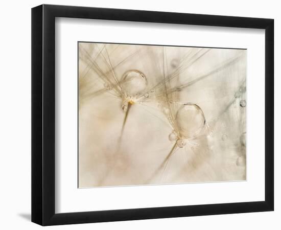 Watercolors-Nel Talen-Framed Photographic Print