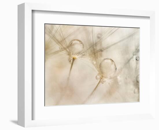 Watercolors-Nel Talen-Framed Photographic Print