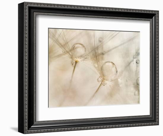 Watercolors-Nel Talen-Framed Photographic Print