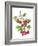 Watercolour painting of Common hawthorn berries-Linda Pitkin-Framed Photographic Print