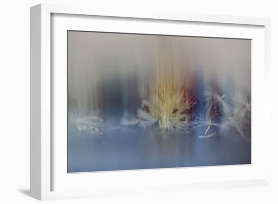 Watercolour Waltz-Valda Bailey-Framed Photographic Print