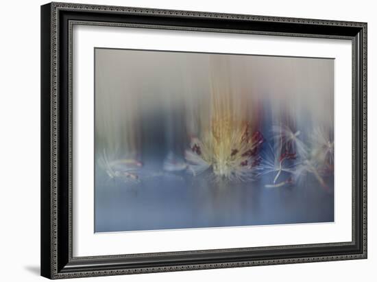 Watercolour Waltz-Valda Bailey-Framed Photographic Print