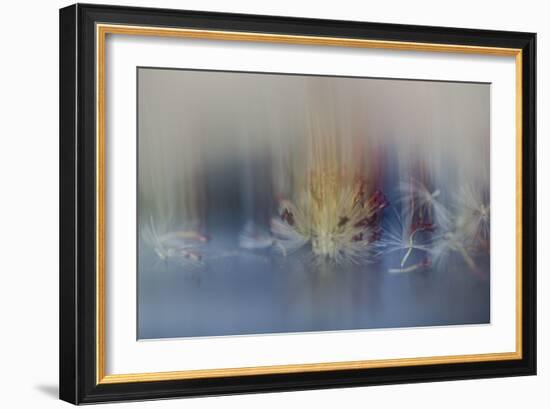 Watercolour Waltz-Valda Bailey-Framed Photographic Print