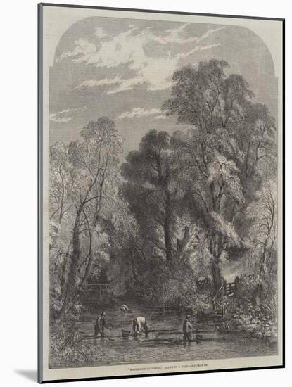 Watercress-Gathering-Samuel Read-Mounted Giclee Print