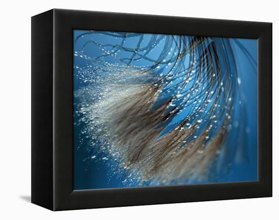 Waterdance-Ursula Abresch-Framed Premier Image Canvas