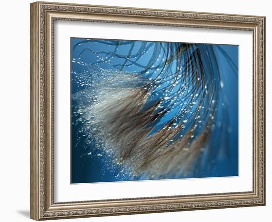 Waterdance-Ursula Abresch-Framed Photographic Print