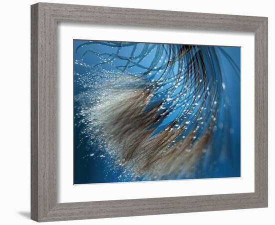 Waterdance-Ursula Abresch-Framed Photographic Print