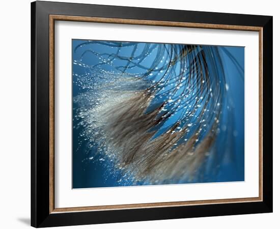 Waterdance-Ursula Abresch-Framed Photographic Print