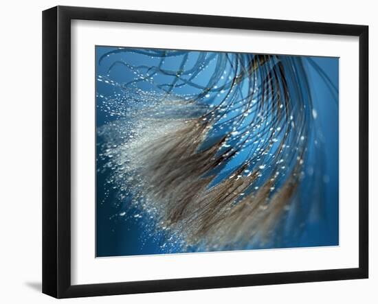 Waterdance-Ursula Abresch-Framed Photographic Print