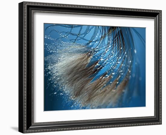 Waterdance-Ursula Abresch-Framed Photographic Print