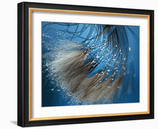 Waterdance-Ursula Abresch-Framed Photographic Print