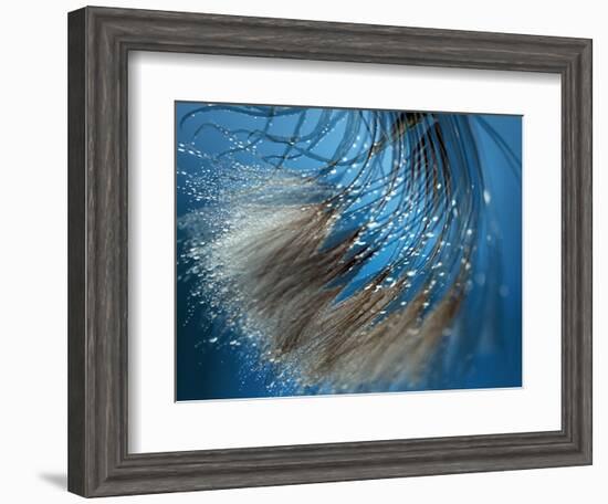 Waterdance-Ursula Abresch-Framed Photographic Print