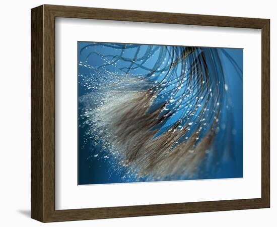 Waterdance-Ursula Abresch-Framed Photographic Print