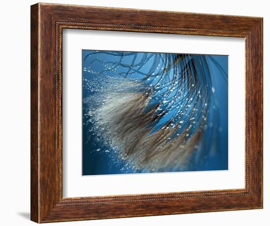 Waterdance-Ursula Abresch-Framed Photographic Print