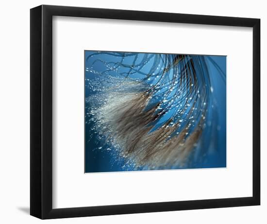 Waterdance-Ursula Abresch-Framed Photographic Print