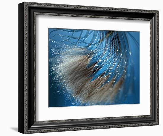 Waterdance-Ursula Abresch-Framed Photographic Print