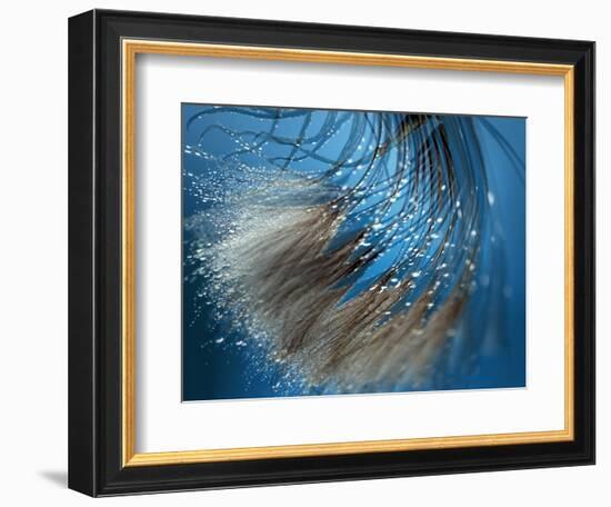 Waterdance-Ursula Abresch-Framed Photographic Print