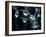 Waterdrops-null-Framed Photographic Print