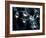 Waterdrops-null-Framed Photographic Print