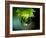 Waterdrops-null-Framed Photographic Print