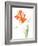 Watered Down Bright Orange-Jace Grey-Framed Art Print