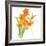 Watered Down Orange-Jace Grey-Framed Art Print