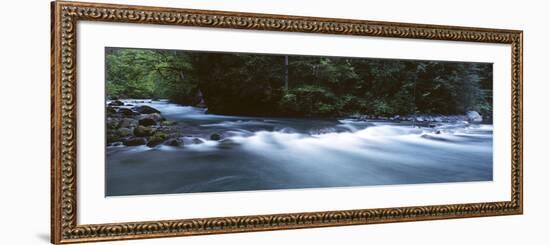 Waterfall Along Big Quilcene River, Olympic National Park, Washington State, USA-Paul Souders-Framed Photographic Print