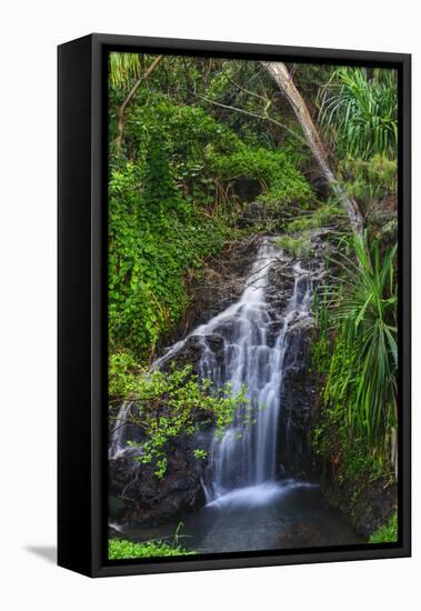 Waterfall Along the Trail to Queens Bath, Lihue, Kauai, Hawaii, USA-Richard Duval-Framed Premier Image Canvas